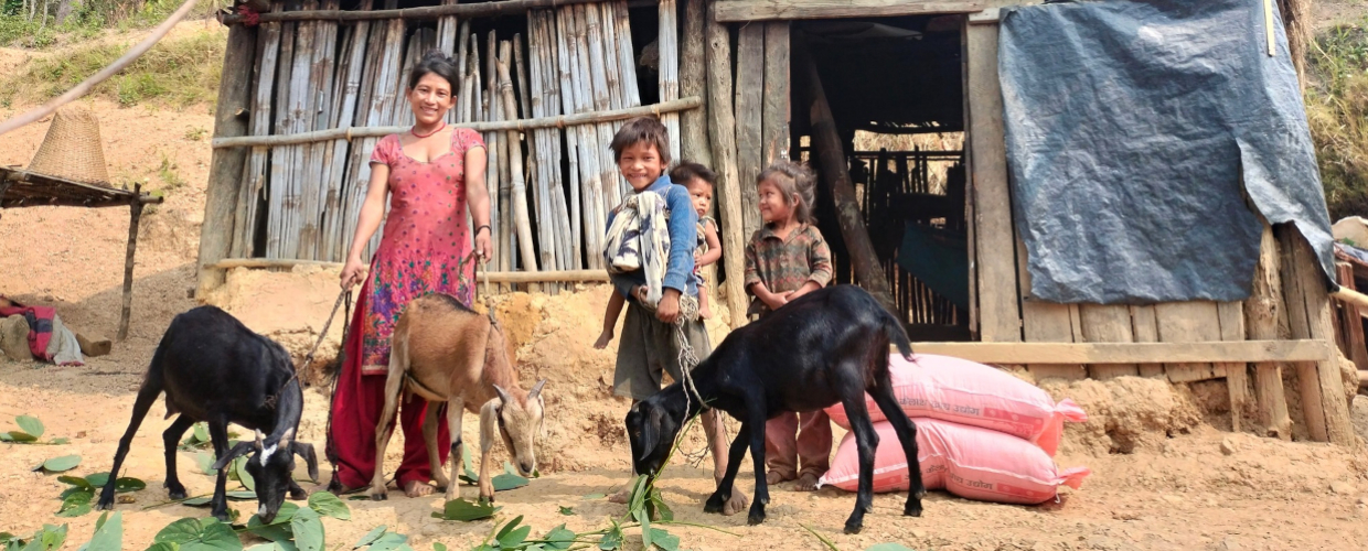 Nepal-chevres-10-ori