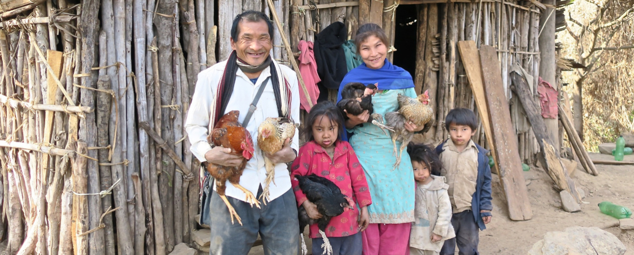 Nepal-chevres-11-ori