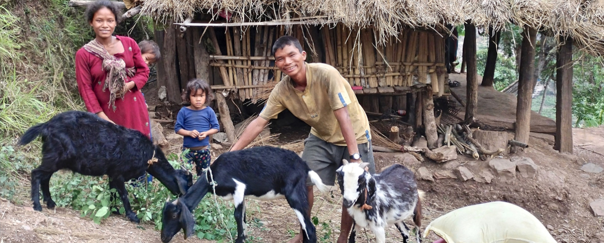 Nepal-chevres-12-ori